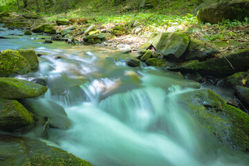 W Dolinie Szczawnika w Muszynie latem.