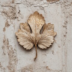 Intricate Gold Leaf Imprint on Distressed White Wall Creating a Vintage Aesthetic in Home Decor Photography