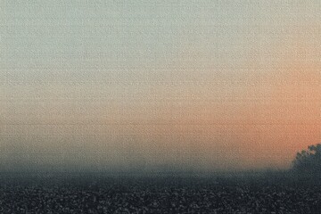 Misty field at dawn, muted colors