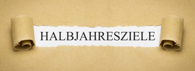 Halbjahresziele