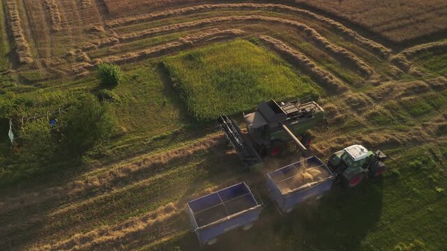 Harvester ingathering ripe rye finishing it&rsquo;s work at ferm
