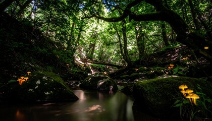Fototapeta premium Lush forest creek with glowing mushrooms