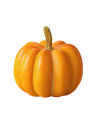 Obraz premium Halloween pumpkin isolated on transparent background