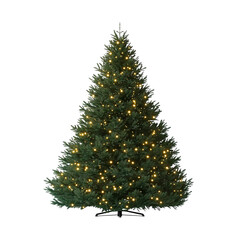 Fototapeta premium Christmas tree on transparent background, PNG