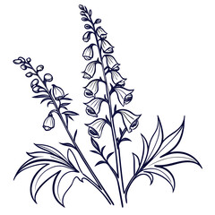 black and white aconitum forex