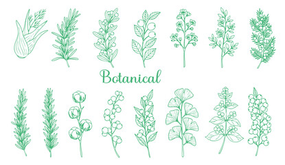 Set of detailed various flowers and foliage, intricate details and delicate forms. Hand drawn vector illustration with elegant botanical elements for invitation, save the date card