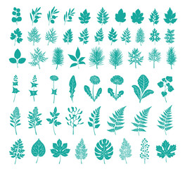 Plant nature hand drawn set. Collection botanical element.