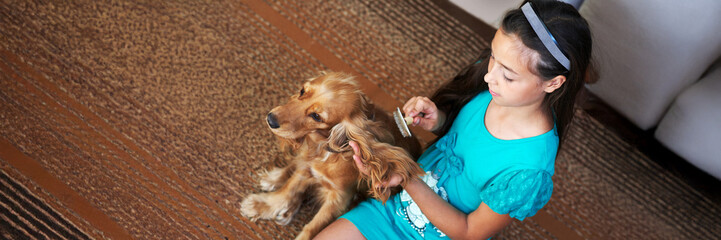 Girl Grooming Dog on Carpet Wide Banner