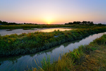 Seawater ponds for oyster culture in Charente Maritime coast