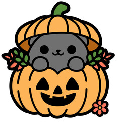 cute kitten in a pumpkin
