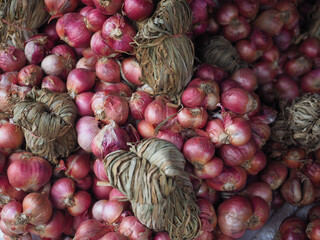 Fresh vegetables sold wholesale at cheap prices in the market