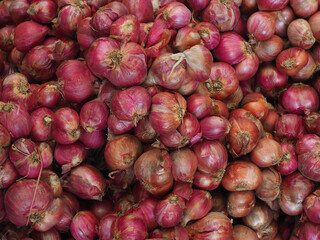 Fresh vegetables sold wholesale at cheap prices in the market