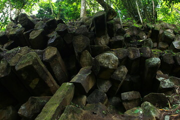 Obraz premium stone in the forest