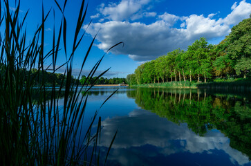 Orankesee in Berlin, summer lake view with reed foreground, cumulus cloud and calm water...
