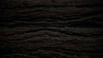 alter dunkler Holzhintergrund 