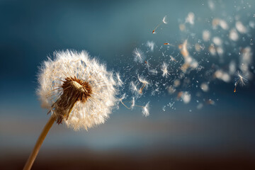 Obraz premium Dandelion Seeds in the Wind - Flying Away