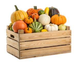 A wooden crate filled with an assortment of colorful pumpkins and gourds on a black background scene