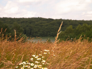 Field in Wiezyca and Ostrzyckie Lake in a backgraund.