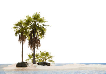 palm tree and tropical plant in desert scene PNG transparent background, 3d illustration rendering