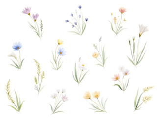 seamless pattern with flowers. bouquet of flowers. Watercolor flower with green leaves. floral frame and background. flower border illustration set. Watercolor floral.