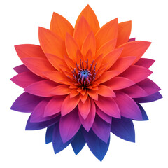 Fototapeta premium カラフルなグラデーションの蓮の花 透明な背景に咲く 美しいデザイン要素