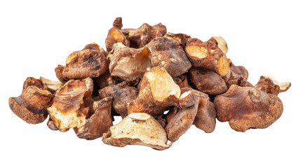 Diverse collection of dried mushrooms on a plain background for culinary use