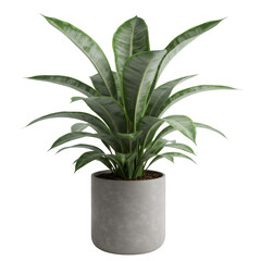Fototapeta premium 鉢植えの観葉植物 透明な背景に隔離された緑色の葉と灰色のポット