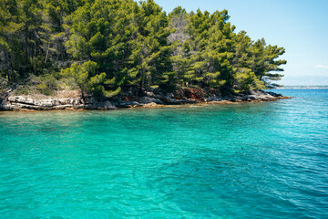 Beautiful beach with pine trees and turquoise waters at Ugljan, close to Zadar, Croatia. 