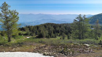 A tranquil mountain landscape with grassy fields, snow patches, dense forest, and majestic mountain...