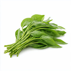 spinach leaves on white background