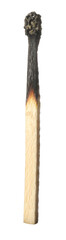 One burnt match isolated on white. Tool for starting fire