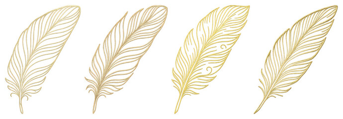 Elegant golden feather illustrations