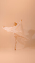 Graceful ballerina with flowing fabric dancing on pointe in soft pastel tones. Concept of...