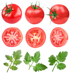 Fresh ripe tomatoes and green leaves isolated on white, set
