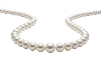 Elegant white pearl necklace isolated on transparent background