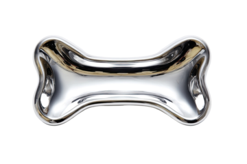 Polished metal dog bone dish