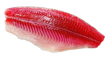 Fresh red fish fillet