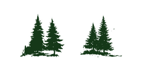 Obraz premium Tall evergreen trees arranged in groups, showcasing rich green hues and natural shapes