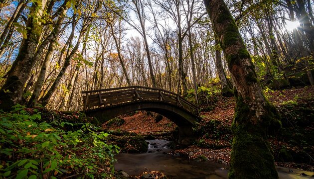 Wooden arch bridge over a creek in autumn forest