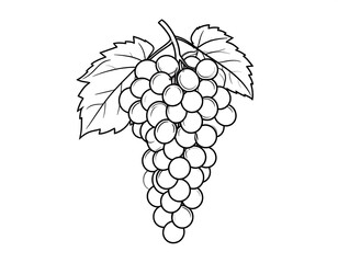 Elegant grape cluster with leaves in detailed black and white outline drawing
