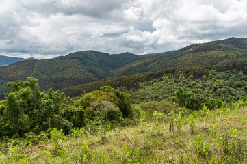 Panoramic view of lush green mountains and valleys with diverse and dense forest types under a sunny summer morning heavily cloudy sky in Monte Verde, Camanducaia, Minas Gerais - Brazil.