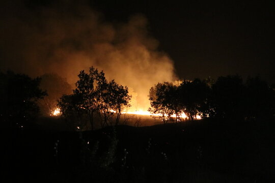Rising temperatures due to global warming have led to an increase in forest fires worldwide. The forest fire in Diyarbakır was brought under control in two days.