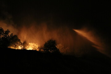 Rising temperatures due to global warming have led to an increase in forest fires worldwide. The...