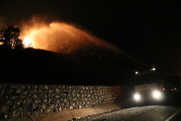 Rising temperatures due to global warming have led to an increase in forest fires worldwide. The...