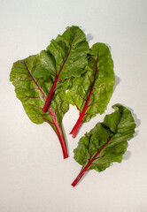 Swiss chard leaves with red veins against white background. Vegetable concept
