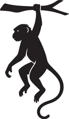 Naklejka premium Hanuman is sitting and hanging on a branch of a wild animal tree. হনুমান গাছের ডালে বসে আছে