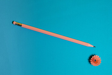 Pastel pink graphite pencils of blue surface. Back to school