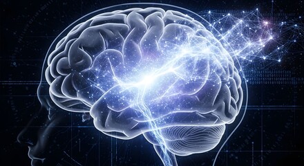 Digital Brain Anatomy - Illuminated Neural Pathways.