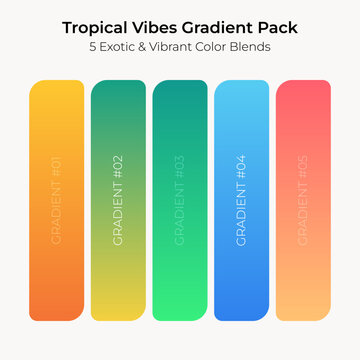 Tropical Vibes Gradient Pack Exotic and Vibrant Color Blends
