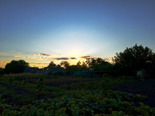 Sunset over a rural garden with green plants, village houses, and trees, tranquil countryside scene.